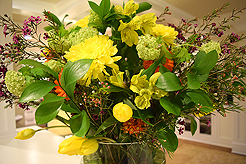 ITS YOUR BIRTHDAY, CUPCAKE